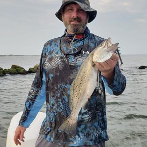 Meet your Posher, Jerry